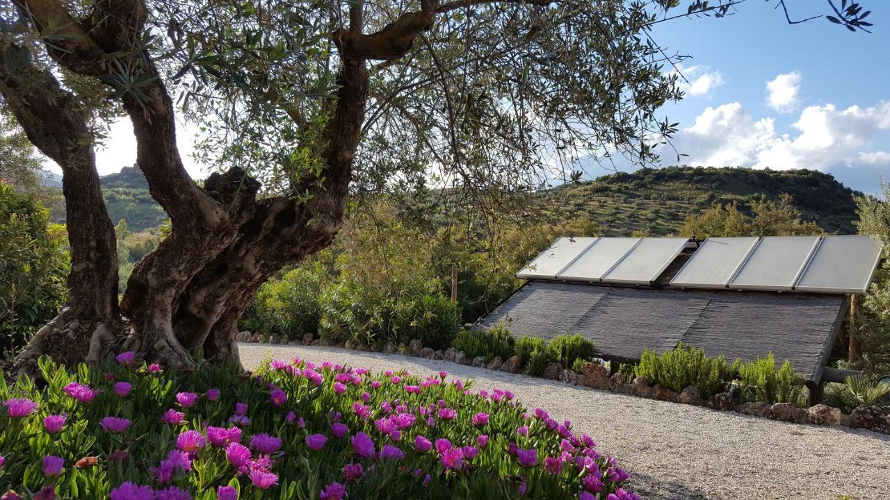 Casa Olea Bed & Breakfast Priego De Cordoba Exterior photo