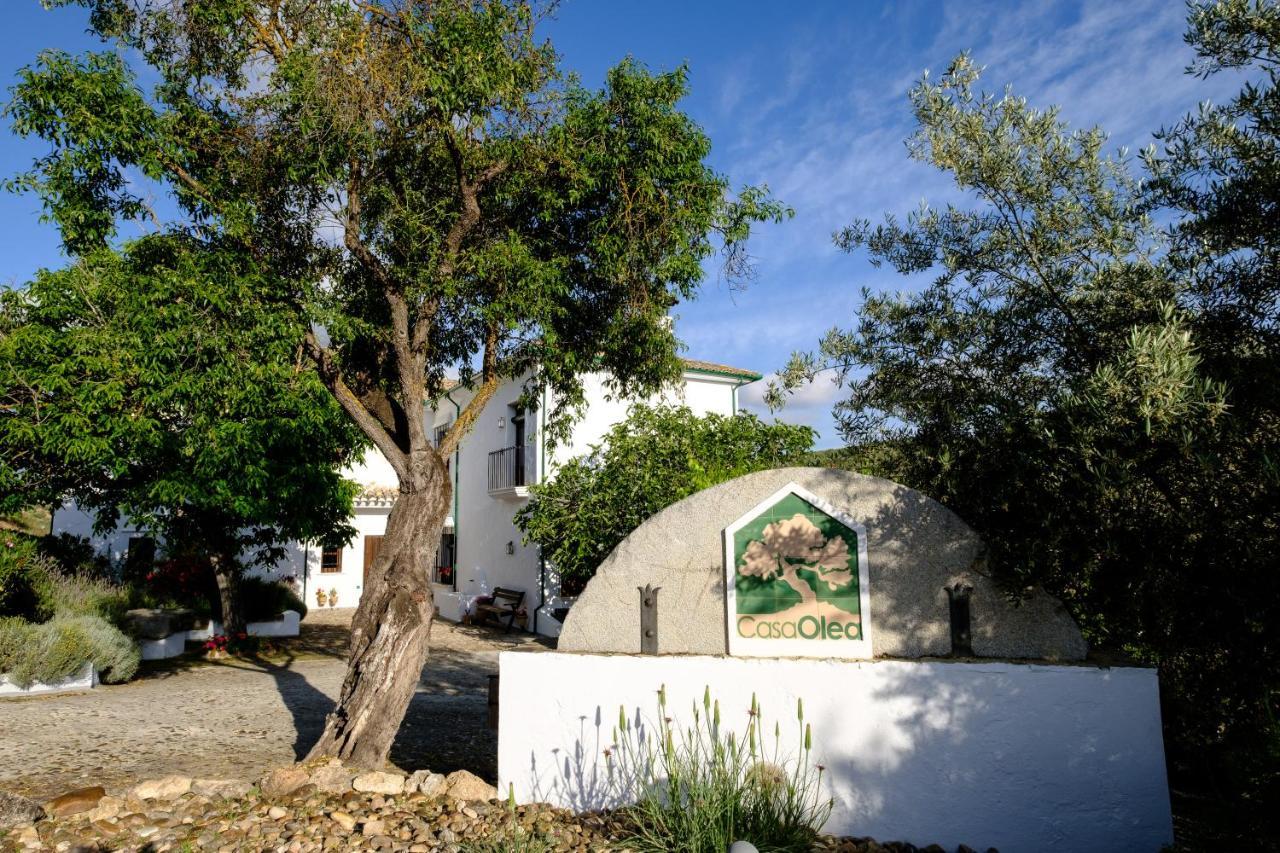 Casa Olea Bed & Breakfast Priego De Cordoba Exterior photo