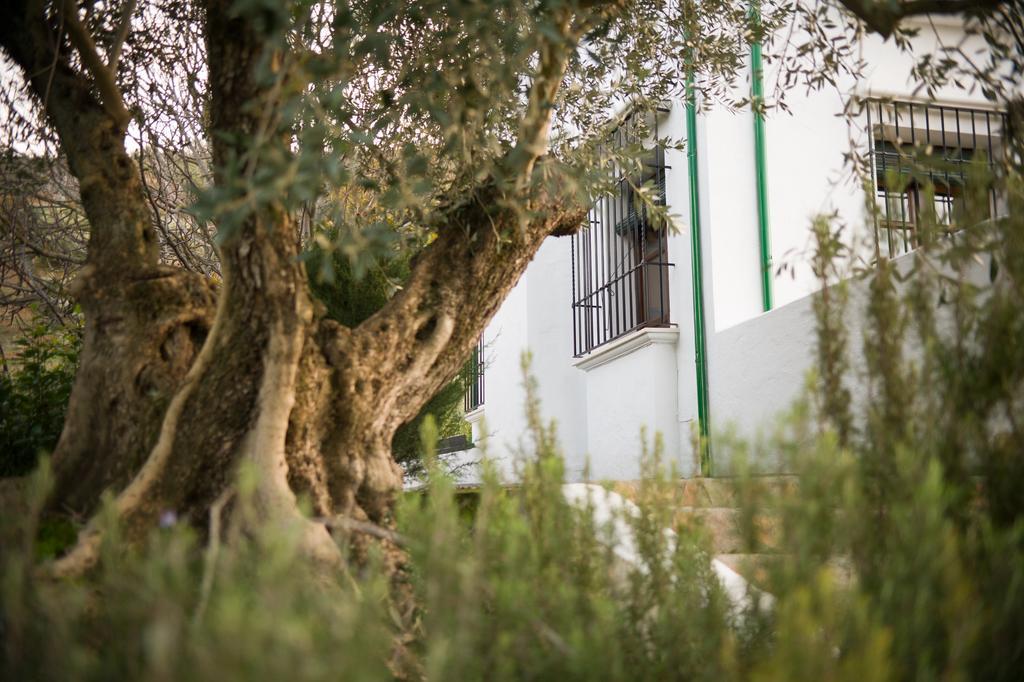 Casa Olea Bed & Breakfast Priego De Cordoba Exterior photo